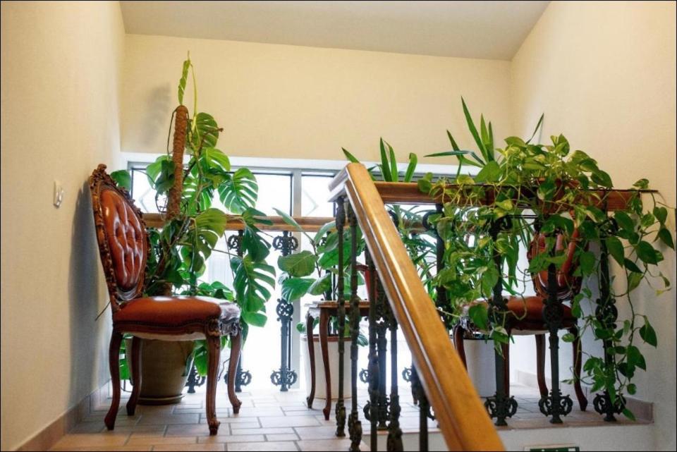 Apartment Senamiescio Inkaras Klaipėda Dış mekan fotoğraf